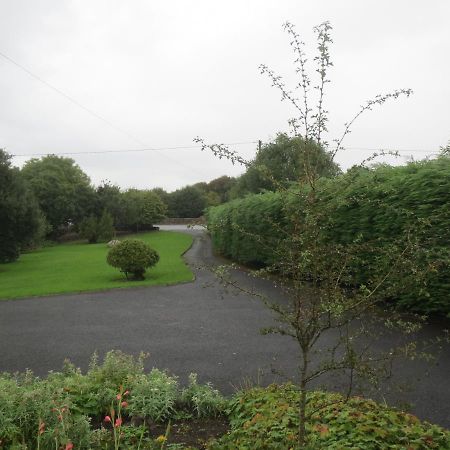 Abbey View Bed & Breakfast Galway Exterior photo